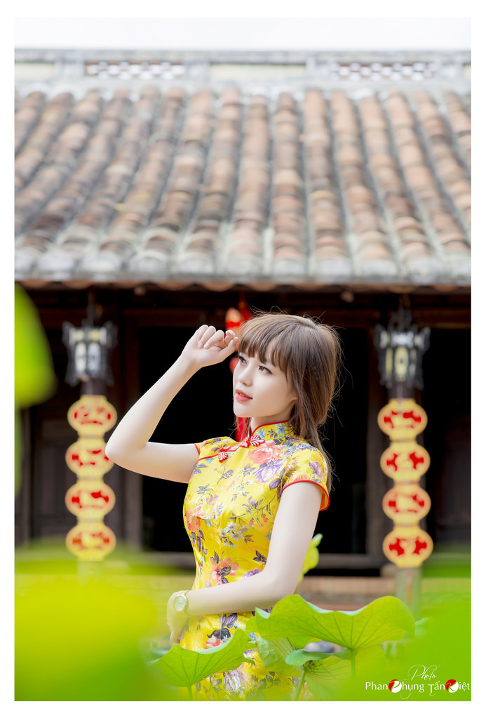 极品淑女